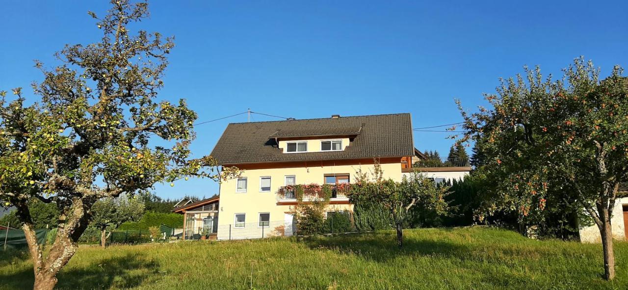 Appartement Haus Elvira à Sankt Stefan an der Gail Extérieur photo